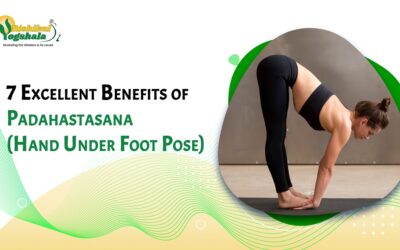 7 Excellent Benefits of Padahastasana (Hand Under Foot Pose)