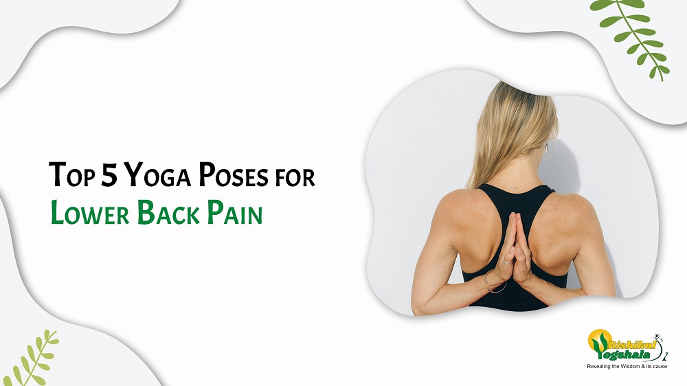 Top 5 Yoga Poses for Lower Back Pain