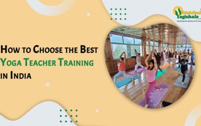 How to Choose the Best Yoga Teacher Training in India