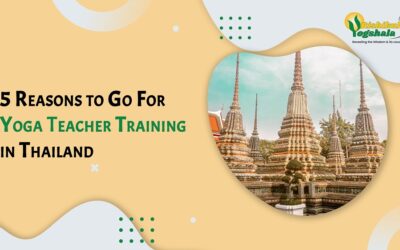 5 Reasons to Go For Yoga Teacher Training in Thailand