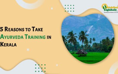 5 Reasons to Take Ayurveda Training in Kerala