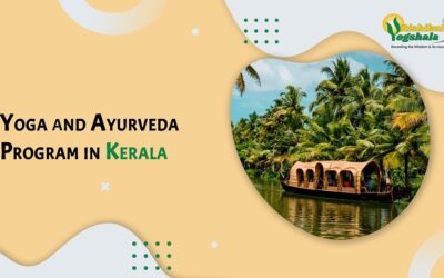 Yoga and Ayurveda Program in Kerala