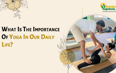 What Is The Importance Of Yoga In Our Daily Life?