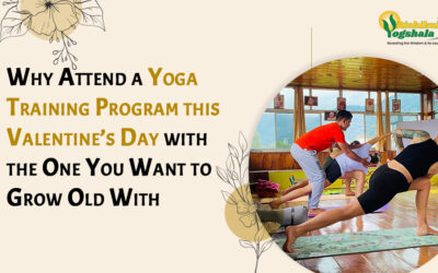 Why Attend a Yoga Training Program this Valentine’s Day with the One You Want to Grow Old With