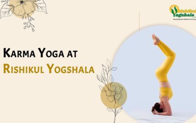 Karma Yoga at Rishikul Yogshala