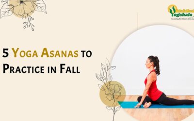 5 Yoga Asanas to Practice in Fall