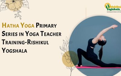 Hatha Yoga Primary Series in Yoga Teacher Training-Rishikul Yogshala