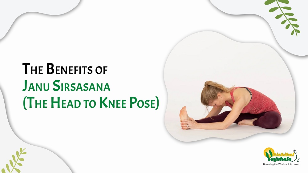 The Benefits of Janu Sirsasana (The Head to Knee Pose)