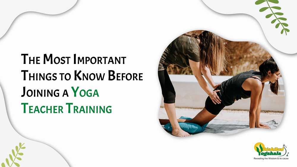 The Most Important Things to Know Before Joining a Yoga Teacher Training