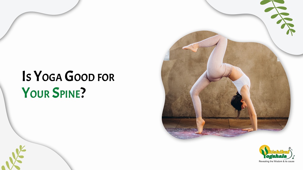 Is Yoga Good for Your Spine?