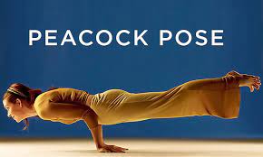 7 Incredible Health Benefits of Mayurasana (Peacock Pose)