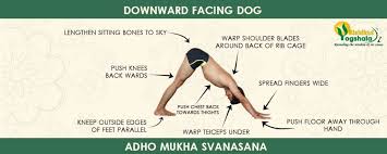 the-best-morning-yoga-routine-downward-facing-dog-pose