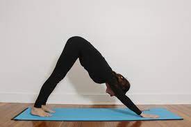 top-5-one-person-yoga-poses-downward-dog-pose