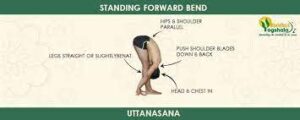 Top 7 Health Benefits of Uttanasana (Standing Forward Bend Pose)